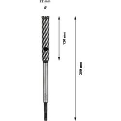 Bosch Accessories Armierungsbohrer SDS plus-9 Rebar Cutter 22x120x300mm 2608586997 příklepový vrták 22 mm Celková délka 300 mm SDS plus 1 ks