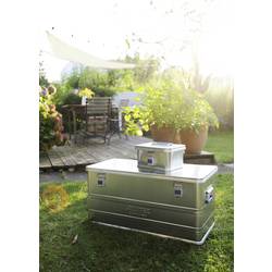 Alutec COMFORT 30 12030 transportní kufr hliník (d x š x v) 430 x 335 x 273 mm