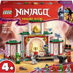 71831 LEGO® NINJAGO „Spinjitzin“ – otisk Ninja