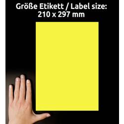 Avery-Zweckform L6111-20 Fóliové etikety 210 x 297 mm poylesterová fólie žlutá 20 ks trvalé barevná laserová tiskárna, laserová tiskárna, barevná kopírka,