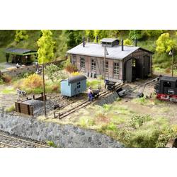 Auhagen 11470 H0 Mrkev malá