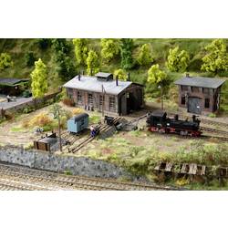 Auhagen 11470 H0 Mrkev malá