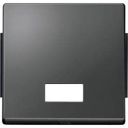 Merten kryt přepínač Aquadesign antracitová 343814 1 ks
