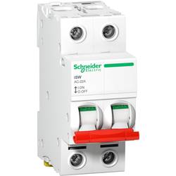 100 A 415 V Schneider Electric A9S66291