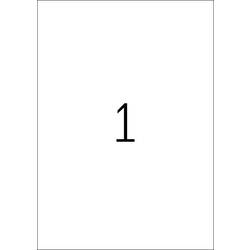 Herma 4428 univerzální etikety 210 x 297 mm papír bílá 100 ks trvalé inkoustová tiskárna, laserová tiskárna, barevná laserová tiskárna, kopírka, barevná
