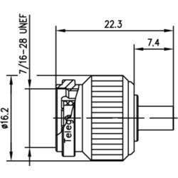 Telegärtner 100023701 100023701 TNC konektor zástrčka, rovná 50 Ω 1 ks