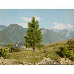 NOCH 0021816 strom smrk 145 mm 1 ks