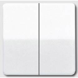 Jung 1násobné kryt dvojitý vypínač, sériové tlačítko alpská bílá CD595WW 1 ks