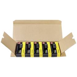 Intenso 7501511 mikrotužková baterie AAA alkalicko-manganová 1250 mAh 1.5 V 100 ks