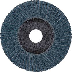PFERD TOOLS 67684125 Z Sg Power Steelox vějířovitý brusný kotouč Průměr 125 mm Ø otvoru 22.23 mm Zrnitost 40 10 ks