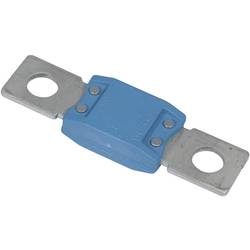 Victron Energy bezpečnostní vložka 2608664488