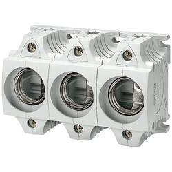 Siemens 5SF5268 patice pro pojistku diazed Velikost pojistky = DIII 63 A 500 V/AC 1 ks