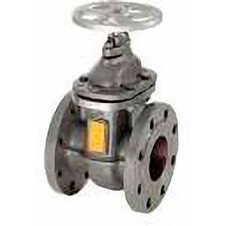 Zehnder Pumpen 10649 Absperrschieber DN 100 uzavírací šoupě DN 100 šedá litina