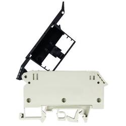 Pojistková svorka 57.904.5355.0 Wieland Electric Množství: 1 ks