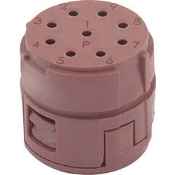 EPIC® SIGNÁL M23, 9 pólový P 73002725 LAPP Množství: 20 ks