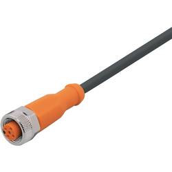 ifm Electronic EVC002 Přívodní kabel, EVC002, piny: 5, 5 m, 1 ks
