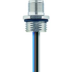 Escha AL-FVM12SUA4-0,5/M16 Zástrčka s přírubou, 8071802, piny: 4, 0.5 m, 1 ks