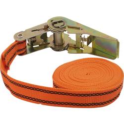 Petex 43192635 jednodílný upínací popruh Přivazovací únosnost napřímo (LC)=125 daN (d x š) 5 m x 25 mm přezka se zubatým páskem