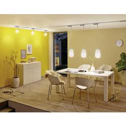 Paulmann 29059 LED Energetická třída (EEK2021) F (A - G) E27 tyčový tvar 5.5 W teplá bílá (Ø x v) 38 mm x 142 mm 1 ks