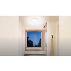 Steinel 079734 INNENLEUCHTE RS 20 S LED stropní svítidlo s PIR senzorem LED pevně vestavěné LED 9.4 W bílá