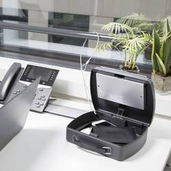 Master Lock P40020 pouzdro na dokumenty (š x v x h) 74 x 254 x 201 mm černá