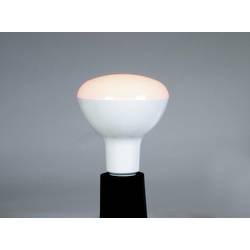 Omnilux 88000020 LED Energetická třída (EEK2021) F (A - G) E27 klasická žárovka 9 W teplá až studená bílá (Ø x v) 95 mm x 130 mm stmívatelná 1 ks