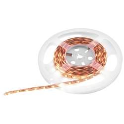 Eurolite 50530130 LED pásek Energetická třída (EEK2021): G (A - G) volný konec 24 V 5 m teplá bílá 5 m