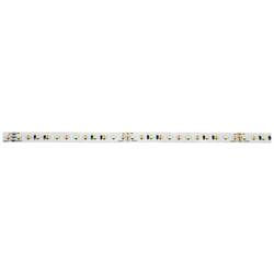 Eurolite 50530130 LED pásek Energetická třída (EEK2021): G (A - G) volný konec 24 V 5 m teplá bílá 5 m