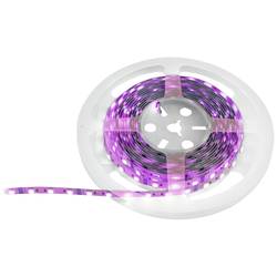 Eurolite 50530136 LED pásek Energetická třída (EEK2021): G (A - G) 12 V 5 m RGB 5 m