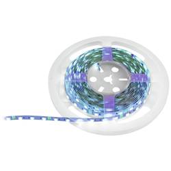 Eurolite 50530136 LED pásek Energetická třída (EEK2021): G (A - G) 12 V 5 m RGB 5 m
