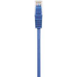 Renkforce RF-5043862 RJ45 síťové kabely, propojovací kabely CAT 5e U/UTP 0.50 m modrá s ochranou, bez halogenů 1 ks