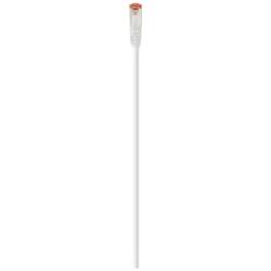 Renkforce RF-5771886 RJ45 síťové kabely, propojovací kabely CAT 6 S/FTP 1.50 m počítačová šedá bez halogenů 1 ks