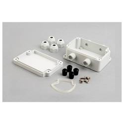 Supertronic PB1065G-S skřínka na stěnu 100 x 65 x 40 1 ks