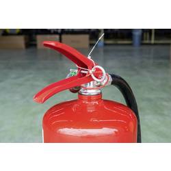 TRU COMPONENTS TC-12533372, kuličkový pásek stahovací, 1.9 mm, 145 mm, přírodní bílá , 1000 ks