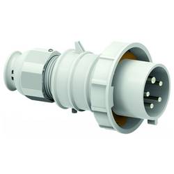 Bals Elektrotechnik 21534 21534 CEE zástrčka, 1 ks