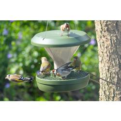 Swissinno Krmítko Davos Dunkelgrün 750 ml 1 ks 1 800 001