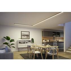Paulmann 98174 Linion LED stropní svítidlo LED 8.5 W chrom (matný)
