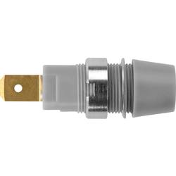 Schützinger bezpečnostní montážní zásuvka 4 mm šedá 1 ks