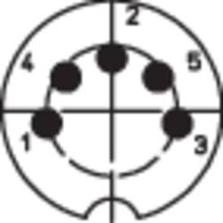 Lumberg 0132 05 DIN kruhový konektor zástrčka, rovná Pólů: 5 stříbrná 1 ks