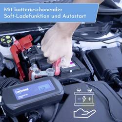 cartrend DP 6.1 581534 nabíječka 6 A