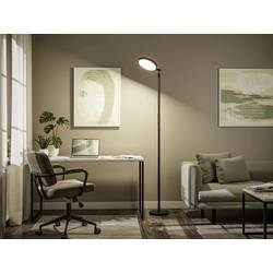 Paulmann 78019 stojací lampa 20 W černá