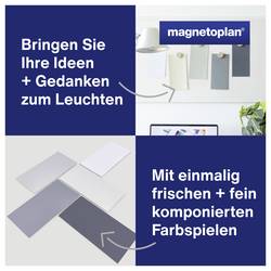 magnetoplan Grey moderační karta barevně tříděná , šedá obdélníkový 200 mm x 100 mm 250 ks