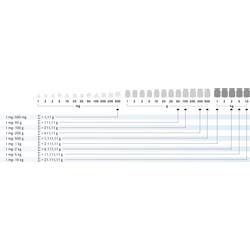 Kern 314-024 E2 hmotnost, 1x g - 50 g z nerezové oceli, v plastovém kufříku