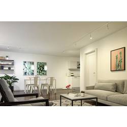 29147 Paulmann Home LED žárovka GU10 Energetická třída (EEK2021): F (A - G) 4.8 W RGBW bílá (matná)