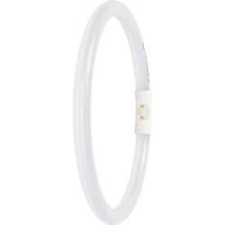LEDVANCE LED trubice Energetická třída (EEK2021): D (A - G) LED zářivkový tvar T5 11.6 W neutrální bílá (Ø x d) 16.50 mm x 225.00 mm stmívatelná 1 ks