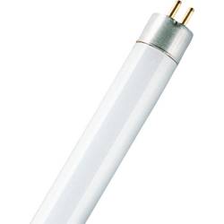 OSRAM HOMELIGHTING zářivka G5 6 W studená bílá zářivkový tvar (Ø x v) 16.00 mm x 16.00 mm 1 ks