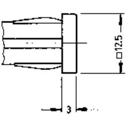 RAFI 1.69.507.125/1502 standardní signálka se žárovkou 1.20 W zelená 1 ks