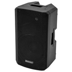 Omnitronic VFM-210 MK2 pasivní PA reproduktor 25 cm 10 palec 90 W 1 ks