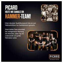 Picard 0070080-001 palička, sada DIN 7239 3 ks