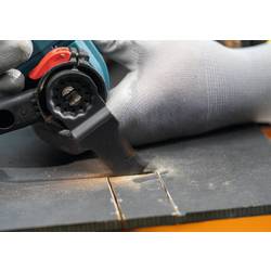 Bosch Accessories 2608669246 2608669246 Ponorný pilový list 1 ks